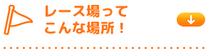 レース場ってこんな場所！