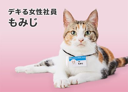 デキる女性社員 もみじ