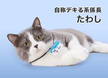 自称デキる系係長 たわし