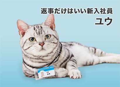 返事だけはいい新入社員 ユウ