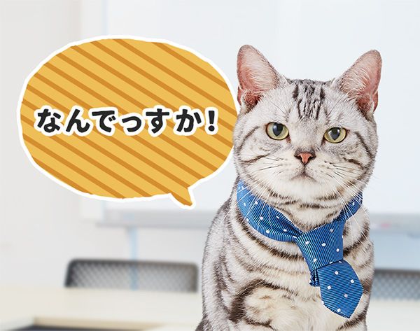 ユウ「なんでっすか!」