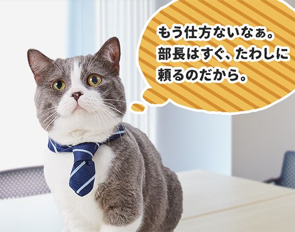 たわし「(もう仕方ないなぁ。部長はすぐ、たわしに頼るのだから。)」