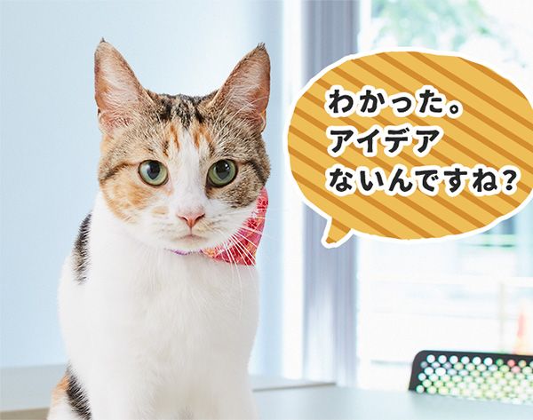もみじ「わかった。アイデアないんですね?」