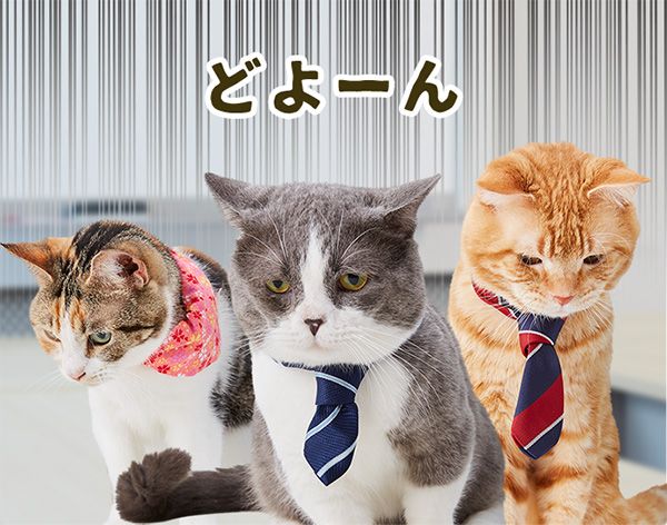オレンジ・たわし・もみじ(どよーん)