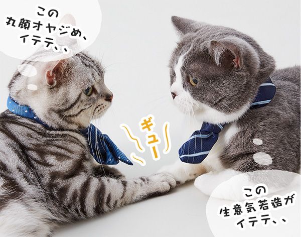 ユウ「この丸顔オヤジめ、イテテ、、」 たわし「この生意気若造が イテテ、、」ギュー(握手)