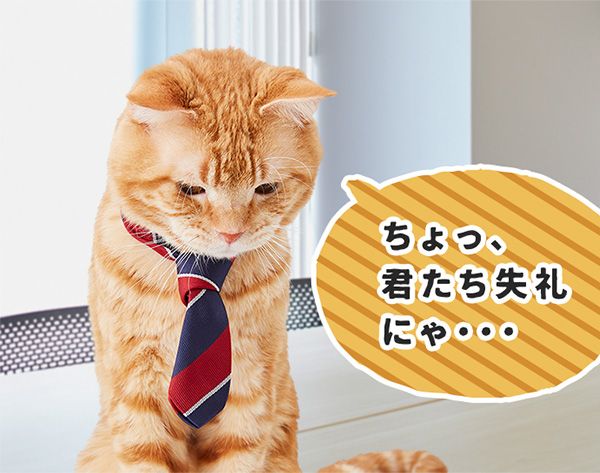 オレンジ「ちょっ、君たち失礼にゃ・・・」