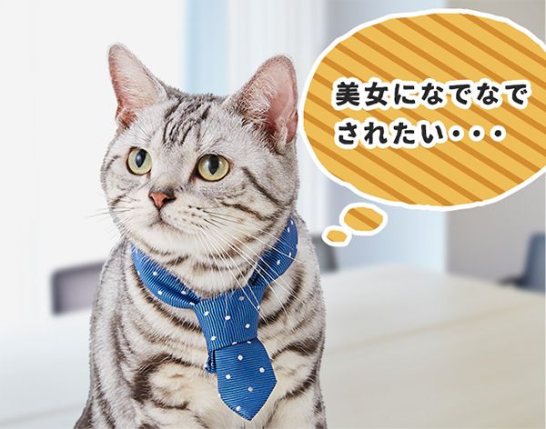 ユウ「(美女になでなでされたい・・・)」