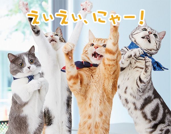 全員「えいえい、にゃー!」