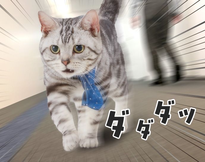 ユウ(ダダダッ)