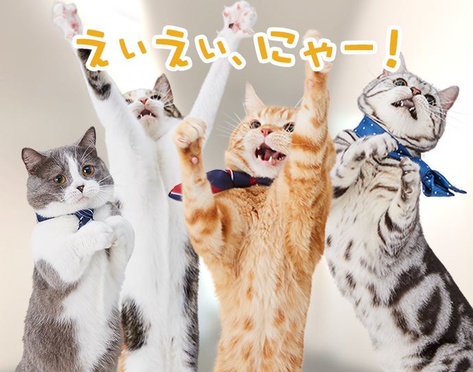 全員「えいえい、にゃー!」