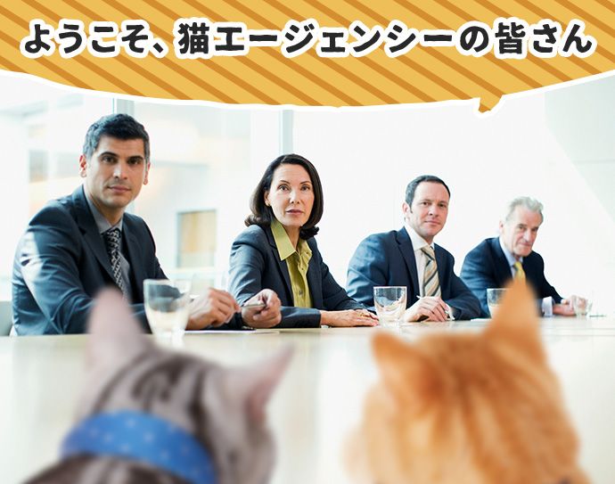 クライアント「ようこそ、猫エージェンシーの皆さん」