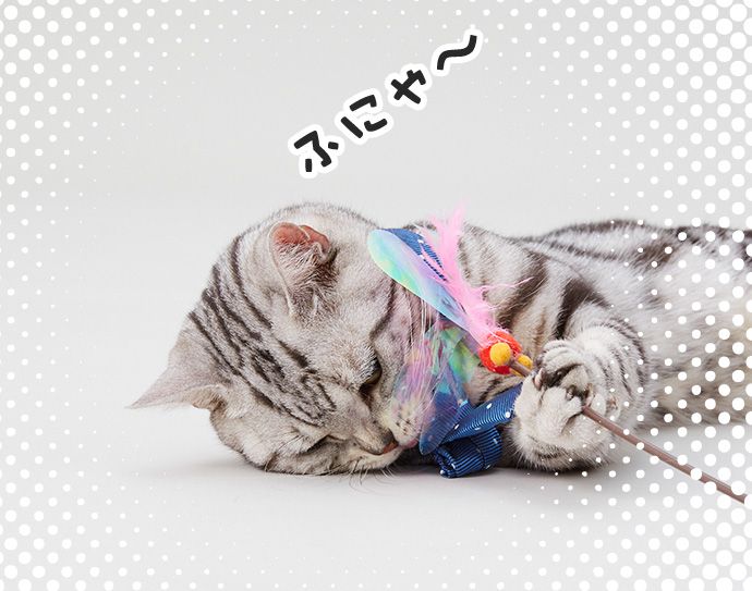 ユウ(ふにゃ~)