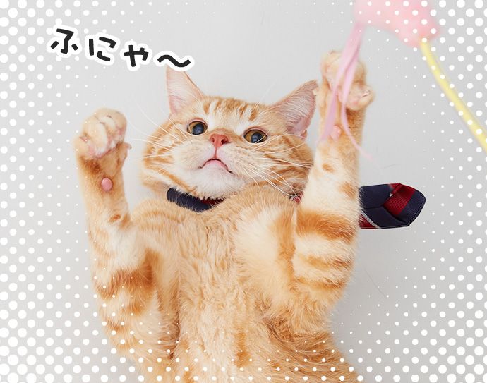 オレンジ(ふにゃ~)