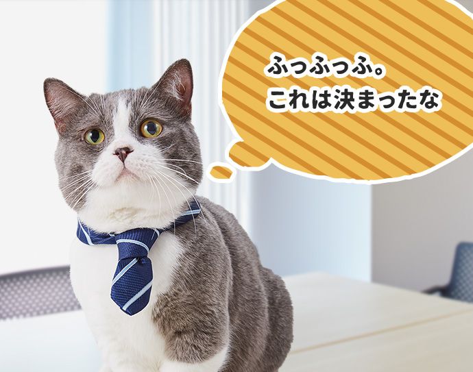 たわし「(ふっふっふ。これは決まったな)」
