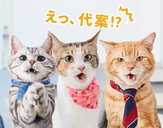 オレンジ・もみじ・ユウ「えっ、代案!?」