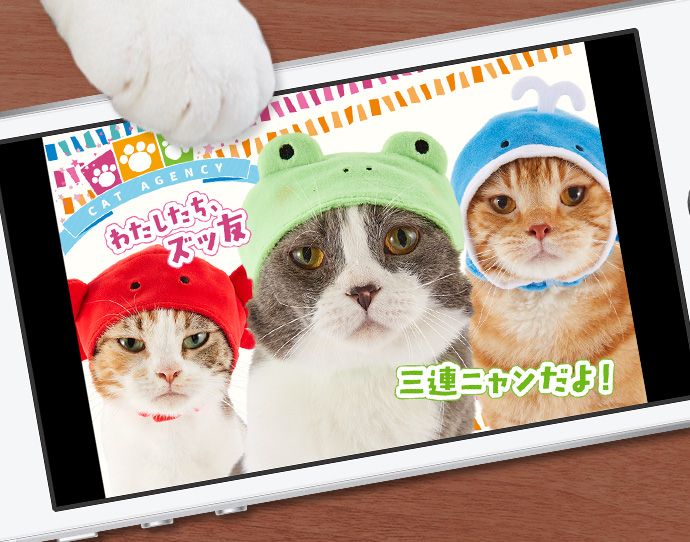 (たわしのスニャホ画面:もみじ、たわし、オレンジがかぶりものをしている写真)もみじ「わたしたち、ズッ友」たわし「三連ニャンだよ!」