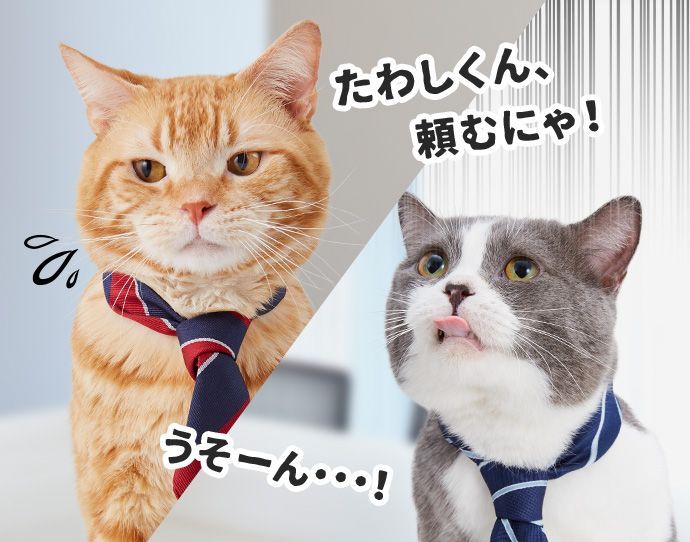 オレンジ「たわしくん、頼むにゃ!」たわし「うそーん・・・!」