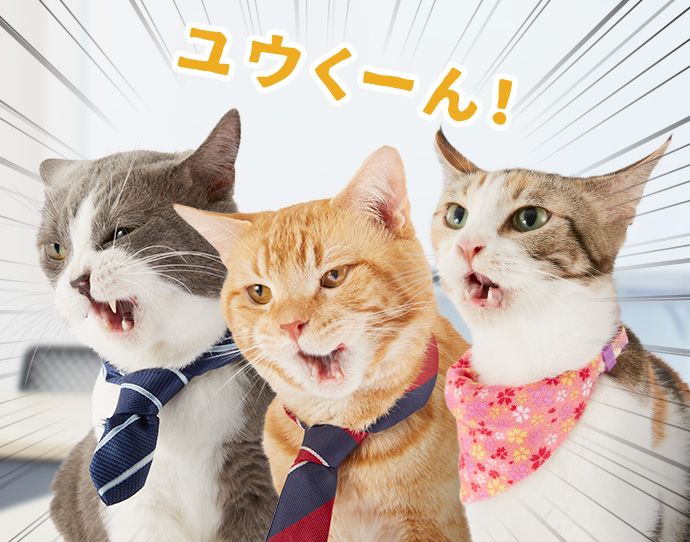 たわし・オレンジ・もみじ「ユウくーん!」