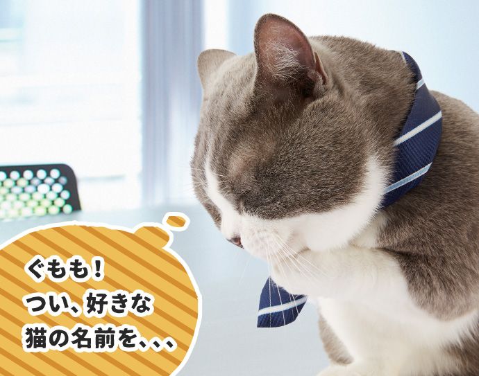 たわし「(ぐもも!つい、好きな猫の名前を、、、)」