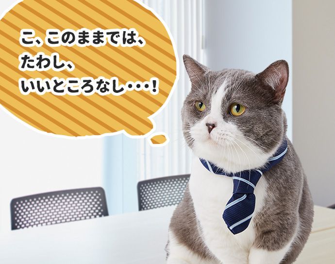 たわし「(こ、このままでは、たわし、いいところなし・・・!)」