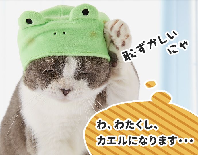 たわし「(わ、わたくし、カエルになります・・・)」恥ずかしいにゃ