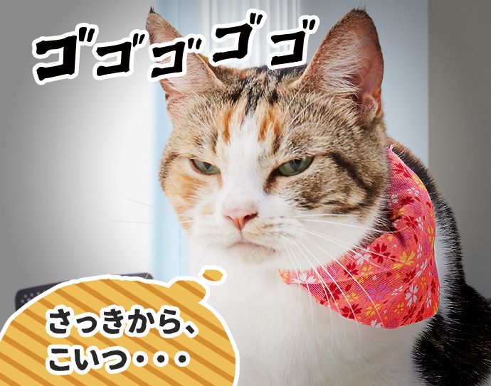ゴゴゴゴゴ もみじ「(さっきから、こいつ・・・)」