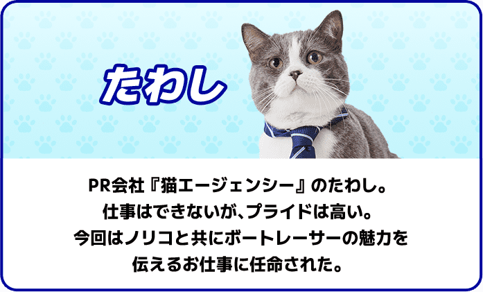 たわし PR会社『猫エージェンシー』のたわし。 仕事はできないが、プライドは高い。 今回はノリコと共にボートレーサーの魅力を伝えるお仕事に任命された。