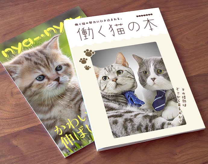 猫の雑誌