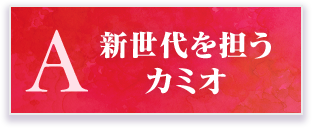 新時代を担うカミオ