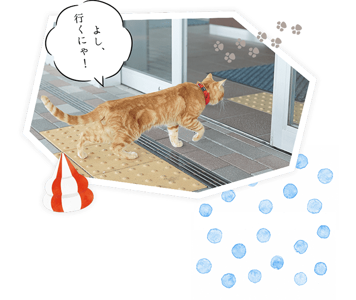 よし、行くにゃ!