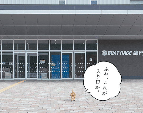 ふむ、これが入り口か。