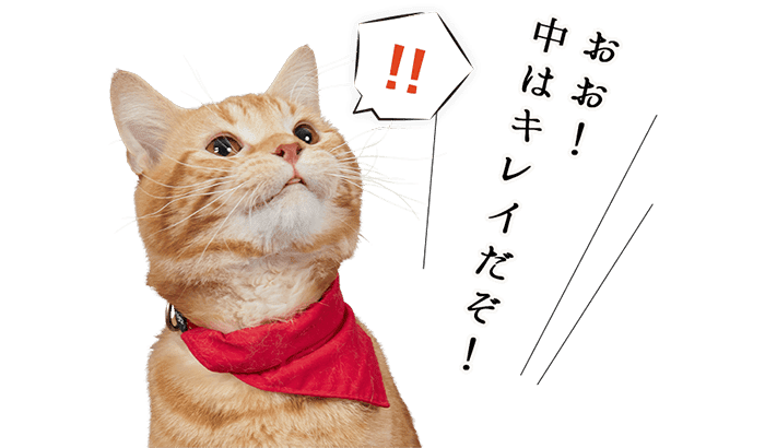 おお!中はキレイだぞ!