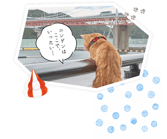 ニンゲンはここで、いったい…