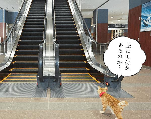 上にも何かあるのか…