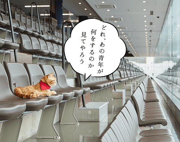 どれ、あの青年が何をするのか見てやろう