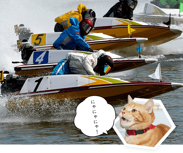 にゃにゃにゃ!
