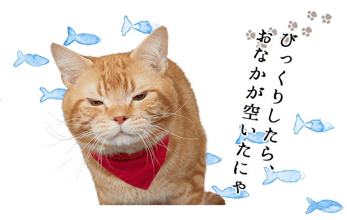 びっくりしたら、おなかが空いたにゃ