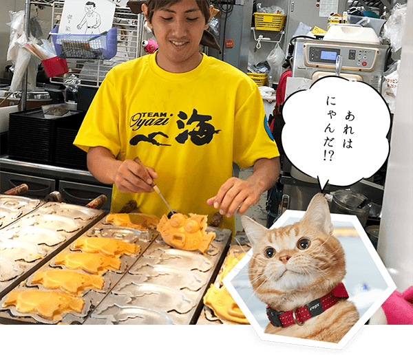 あれはにゃんだ!?