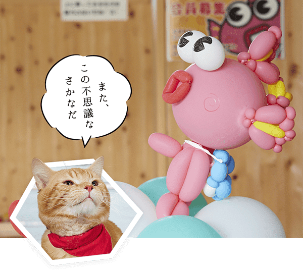 また、この不思議なさかなだ
