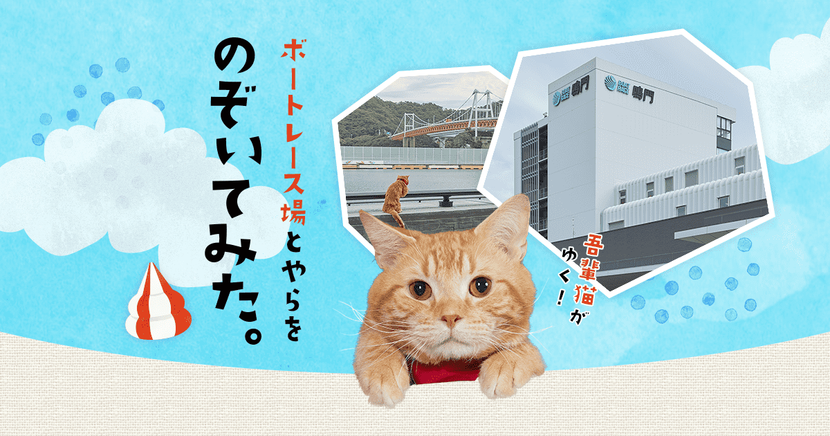 猫から目線でレース場紹介｜レース場に行こう！｜Let's BOAT RACE