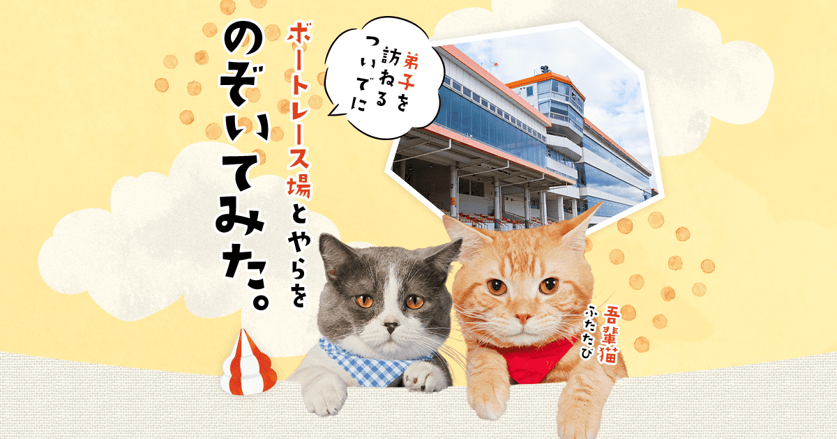 猫から目線でレース場紹介｜レース場に行こう！｜Let's BOAT RACE