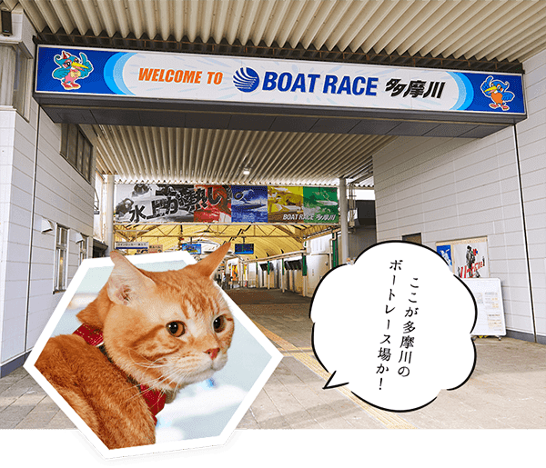 ここが多摩川のボートレース場か！