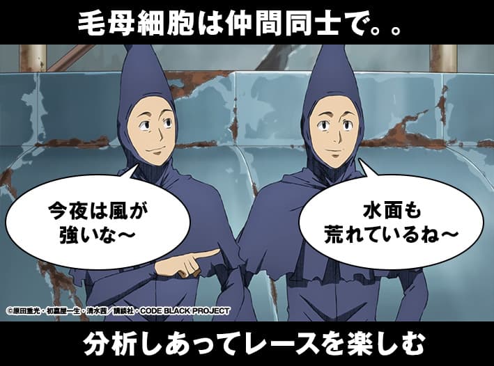 毛母細胞は仲間同士で。。分析しあってレースを楽しむ