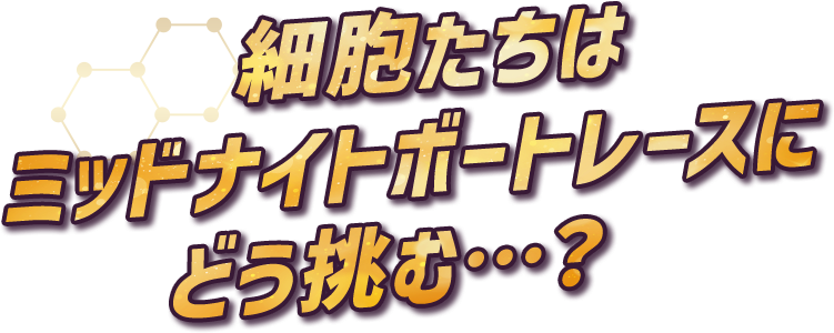 細胞たちはミッドナイトボートレースにどう挑む...?