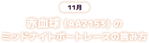 11月 赤血球(AA2153)のミッドナイトボートレースの挑み方