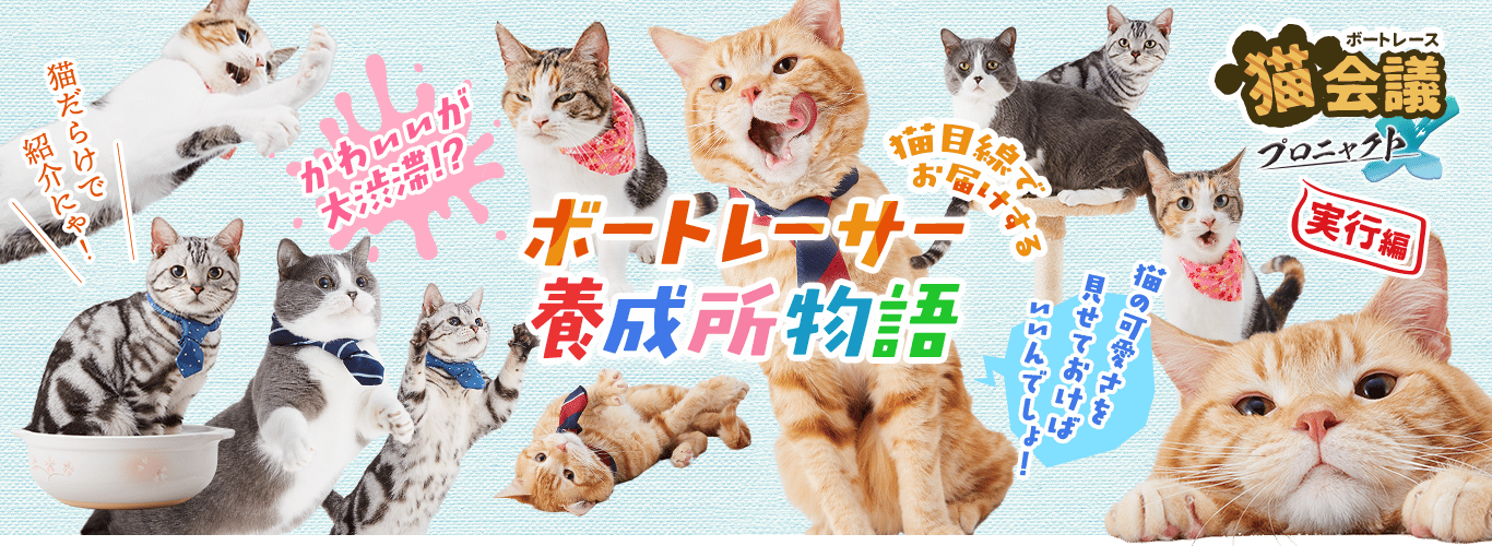 ボートレース猫会議 プロニャクトX【実行編:猫目線でお届けするボートレーサー養成所物語】猫だらけで紹介にゃ!かわいいが大渋滞!?猫の可愛さを見せておけばいいんでしょ!