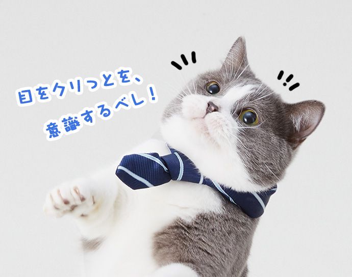 たわし「目をクリっとを、意識するべし!」