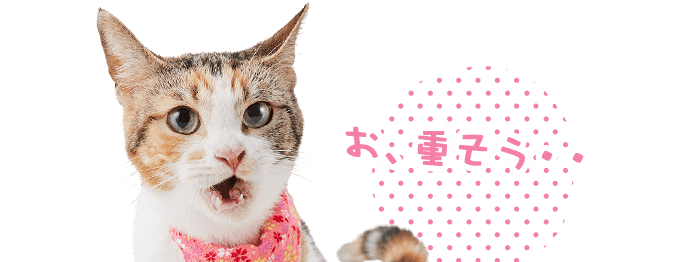 もみじ「お、重そう・・」