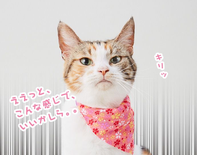 もみじ「(キリッ)ええっと、こんな感じでいいかしら。。」