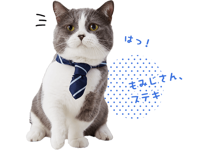 たわし「(はっ!)もみじさん、ステキ」